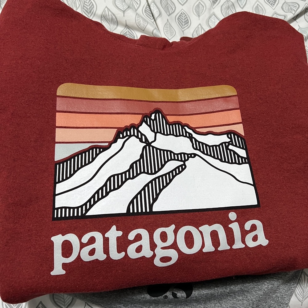 Patagonia Sweatshirt